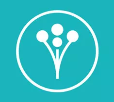 WeddingWire Logo Icon